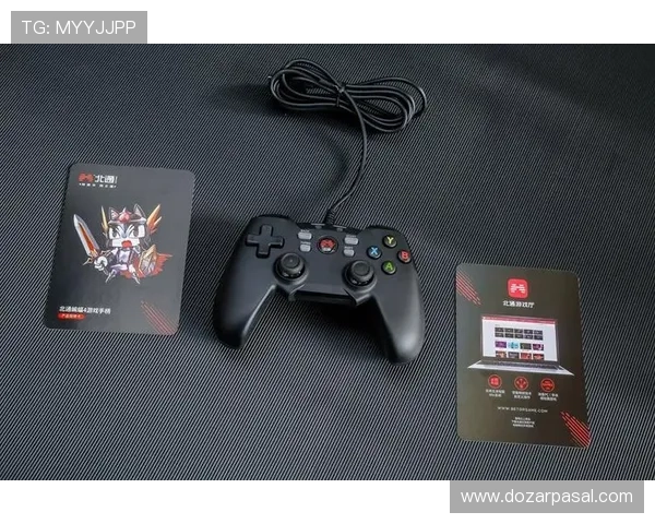 PP游戏平台的用户评价与反馈,了解真实玩家体验提升游戏选择的参考价值